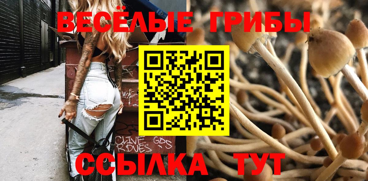 Псилоцибиновые грибы Magic Shrooms Ступино